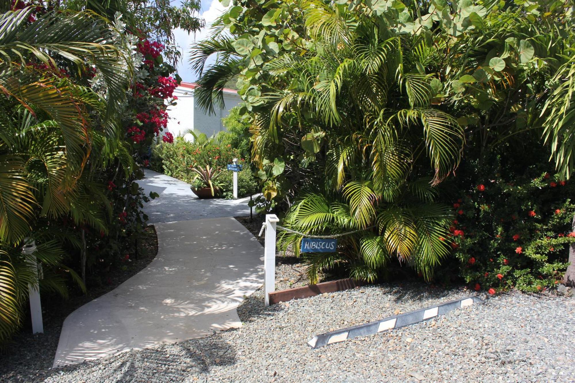 Beautiful Honeymoon Suite At Sunset Serenade Cruz Bay エクステリア 写真